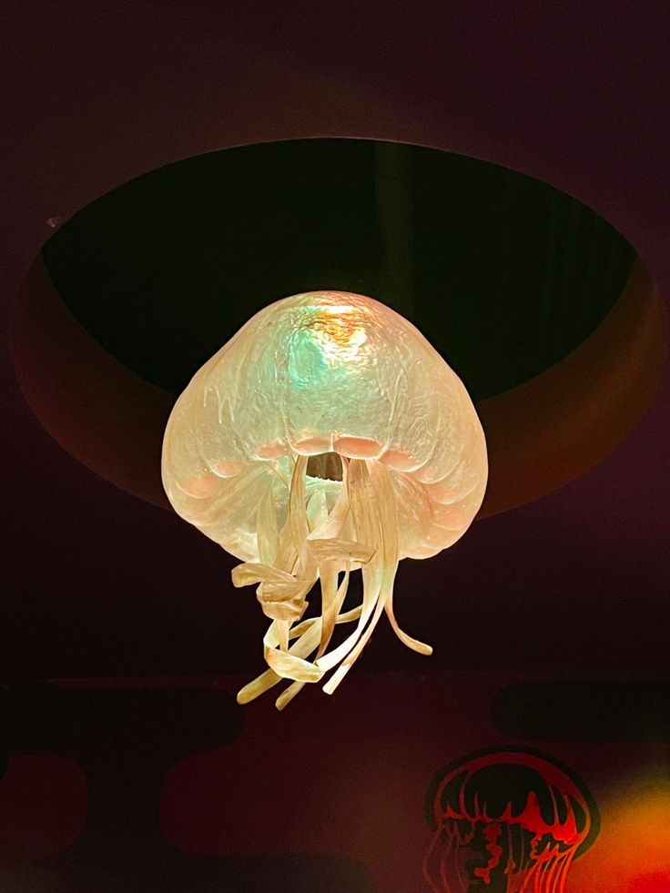 a large jellyfish hanging from the ceiling