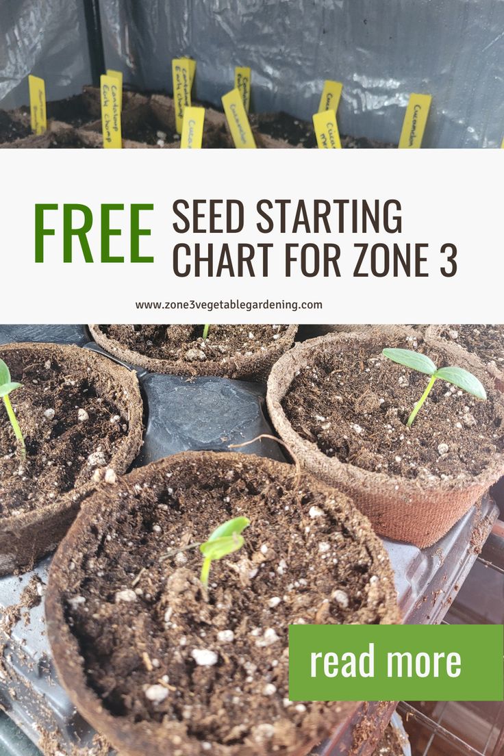 Free Printable Seed Starting Dates Chart for Zone 3 | Seed starting ...