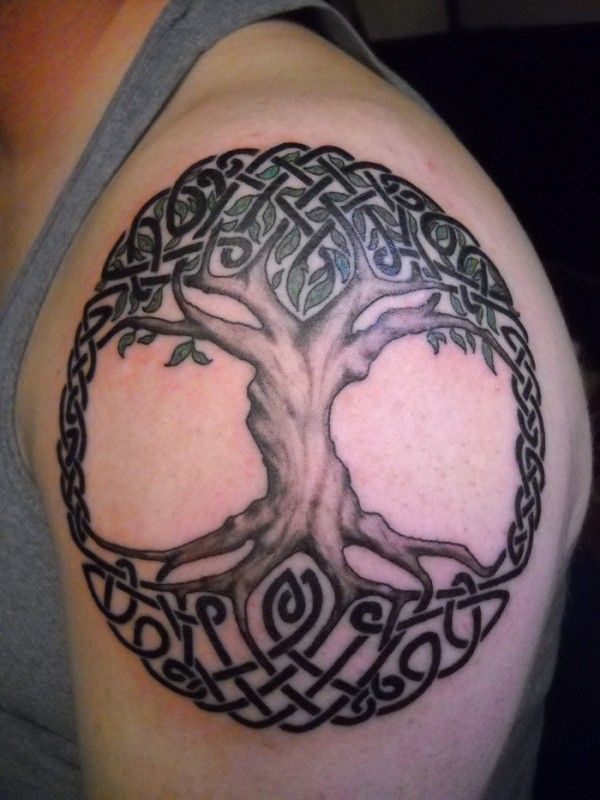 a man with a tree tattoo on his shoulder