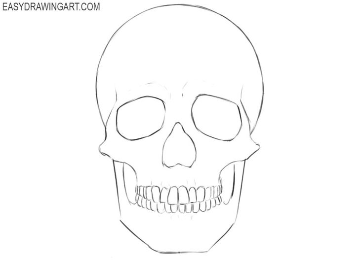 How to Draw a Skull | Easy Drawing Art | Easy skull drawings, Skull ...