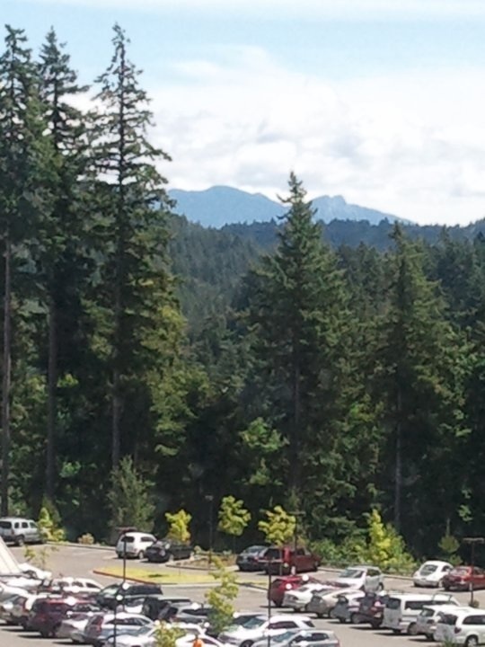 View from Issaquah campus | Swedish hospital, Favorite places ...