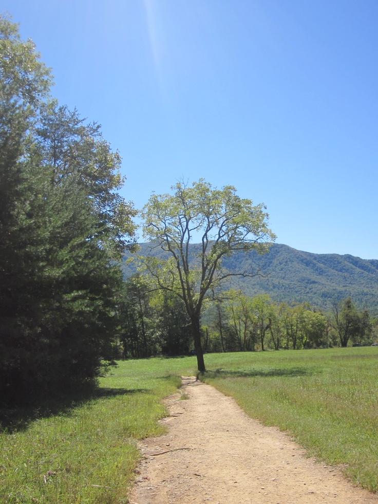 a dirt road in the middle of a field with trees on both sides and mountains in the distance