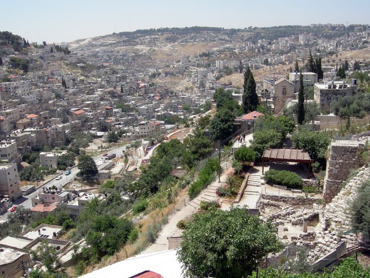 an aerial view of a city with lots of trees