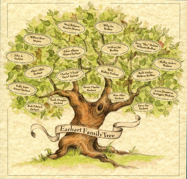 a family tree with many names and pictures on the branches, all labeled in different languages