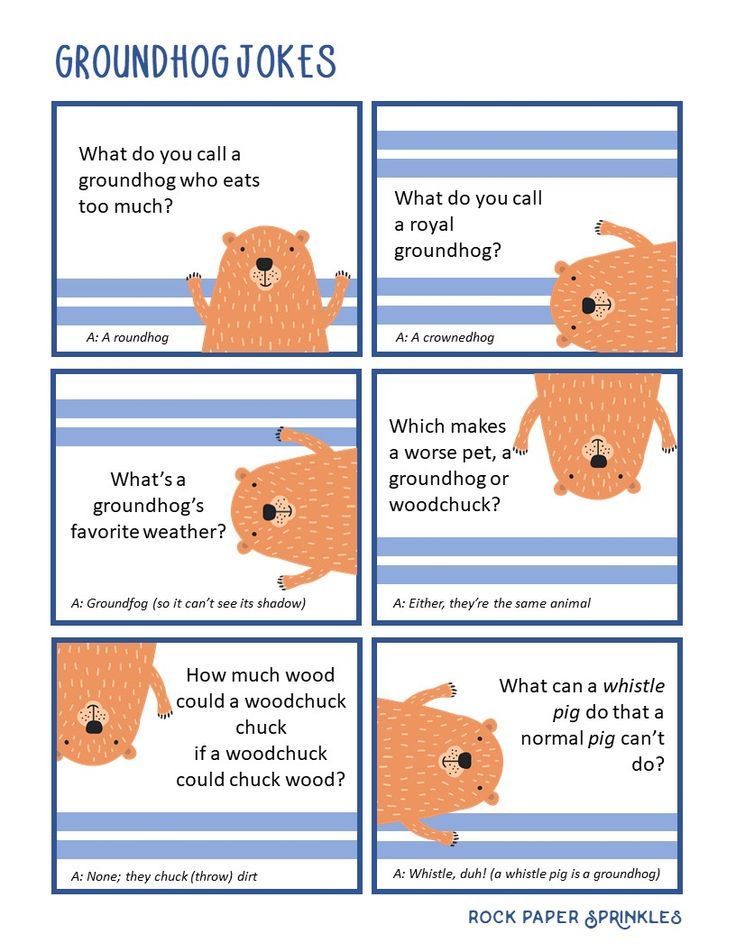 a comic strip about groundhog jokes