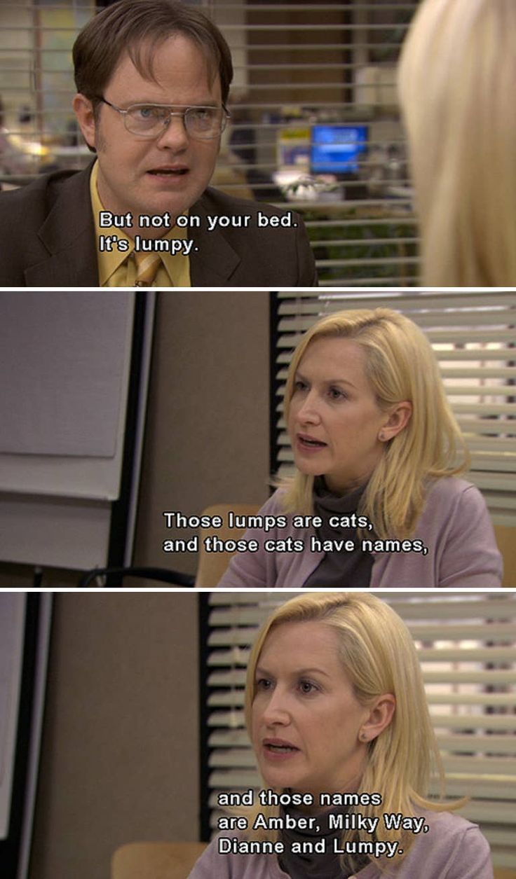 the office quotes that are very funny and funny to see in this show, but not for