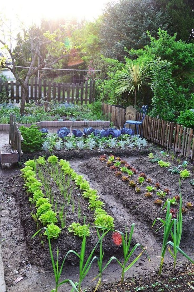 a garden with lots of plants growing in the ground and dirt on the ground next to it