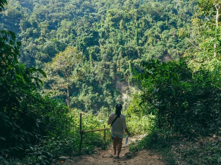 a woman walking down a dirt path in the middle of a forest with lots of trees