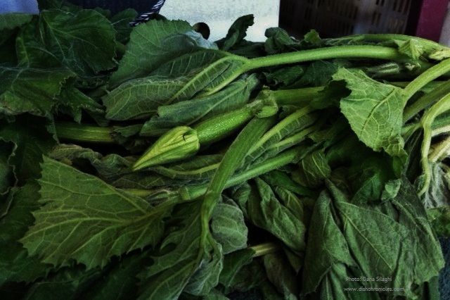 a pile of green leaves sitting on top of a table