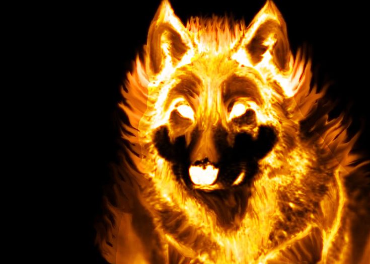 a wolf is shown in flames on a black background