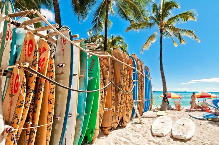 many surfboards are lined up on the beach