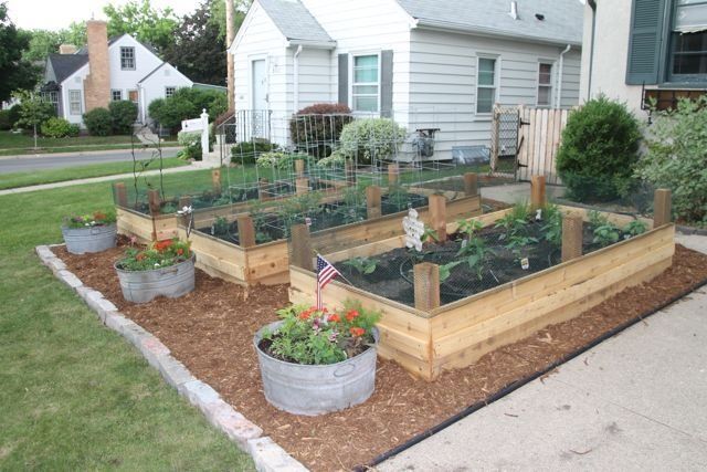 an outdoor garden area with many plants and flowers in the planter boxes on the side of the house