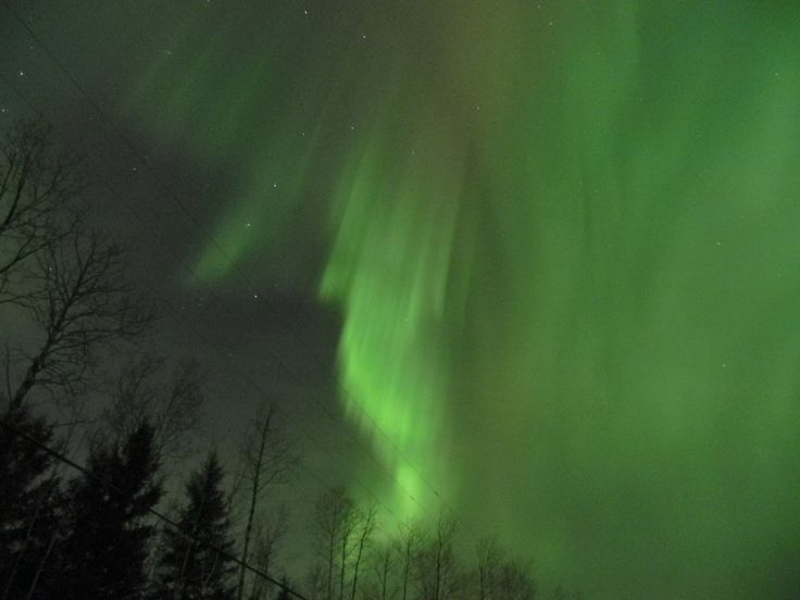 an aurora bore is seen in the sky above some trees and snow covered ground at night