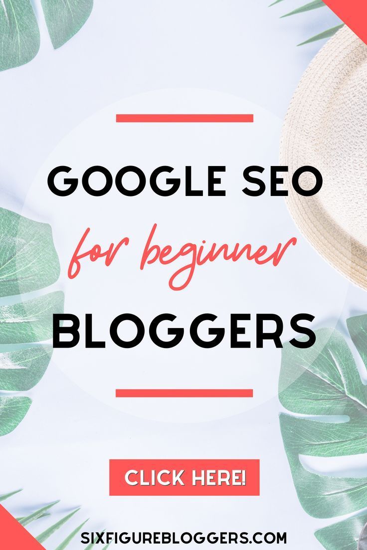 the words google search for beginner bloggers on top of a photo with tropical leaves