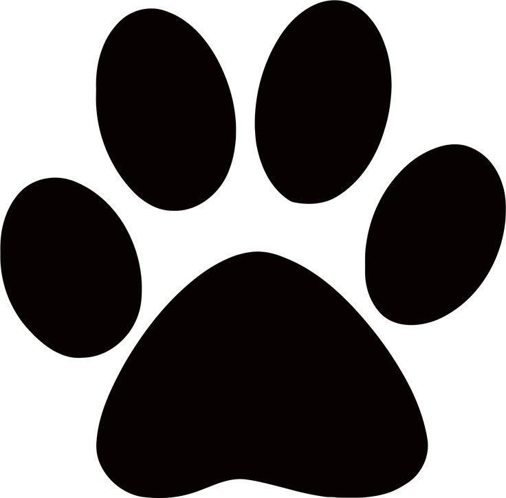 an animal paw print on a white background