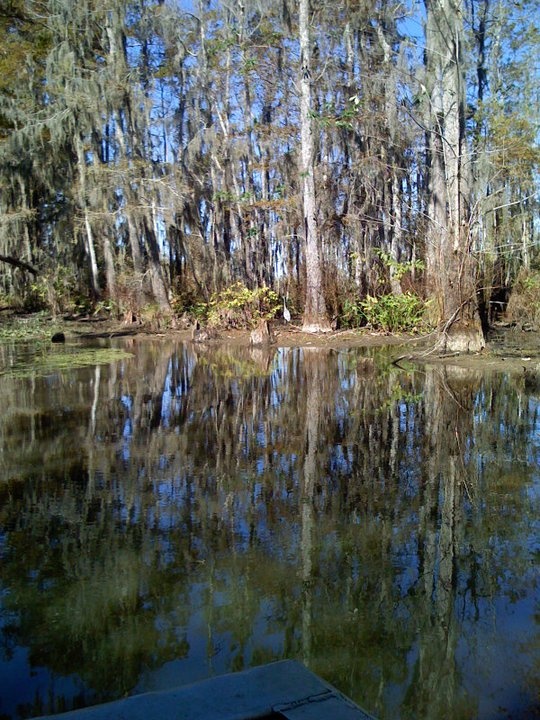 there is a boat on the water in the middle of the woods and trees around it