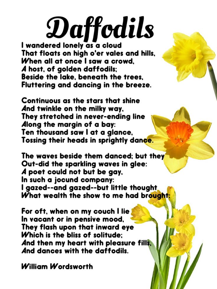 the daffodils poem is shown in black and white, with yellow flowers