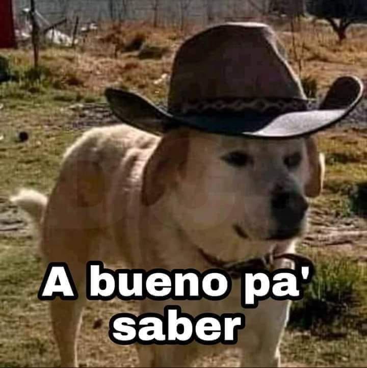 a dog wearing a cowboy hat with the caption, a bueno pa'saber