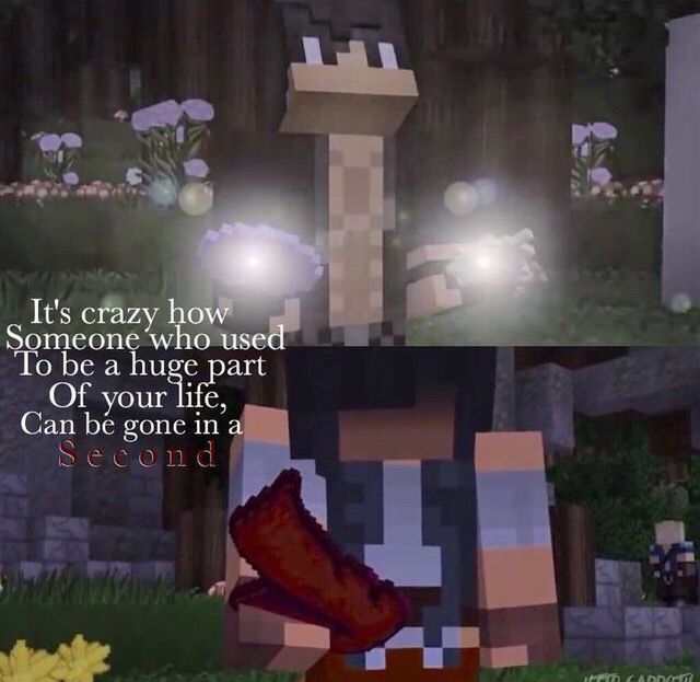 an image of a cartoon character that is in minecraft with the caption it's crazy how someone who used to be a huge part of your life can be gone in a second