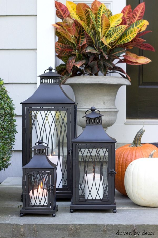 three black lanterns sitting on top of a step next to a potted plant and pumpkins