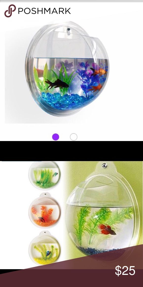 the fish bowl is on sale for $ 25