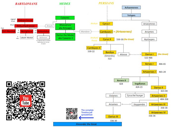 an image of a family tree with qr code