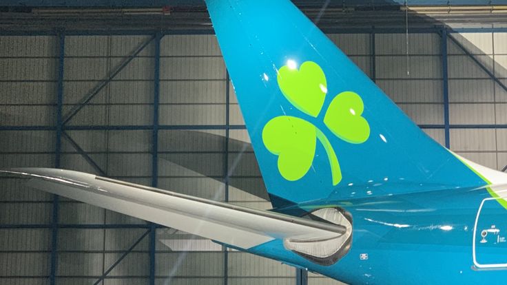 the tail end of an airplane painted in blue and green with shamrocks on it