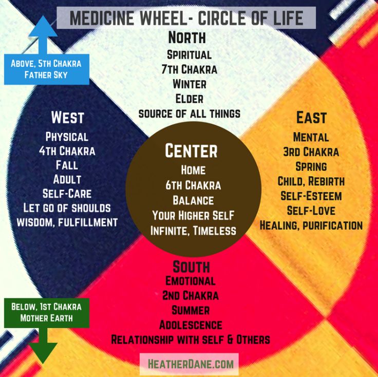 The Seven Directions of the Medicine Wheel | The Shift Network Native American Medicine Wheel, Native American Spirituality, Learning Patience, Plant People, Native American Wisdom, Plant Medicine, Native American Quotes, Shamanic Healing, Creation Story