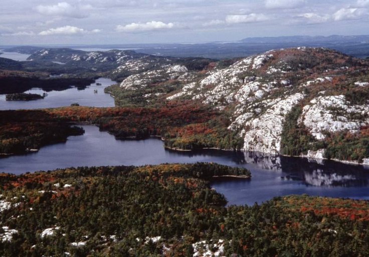 an aerial view of a lake surrounded by trees