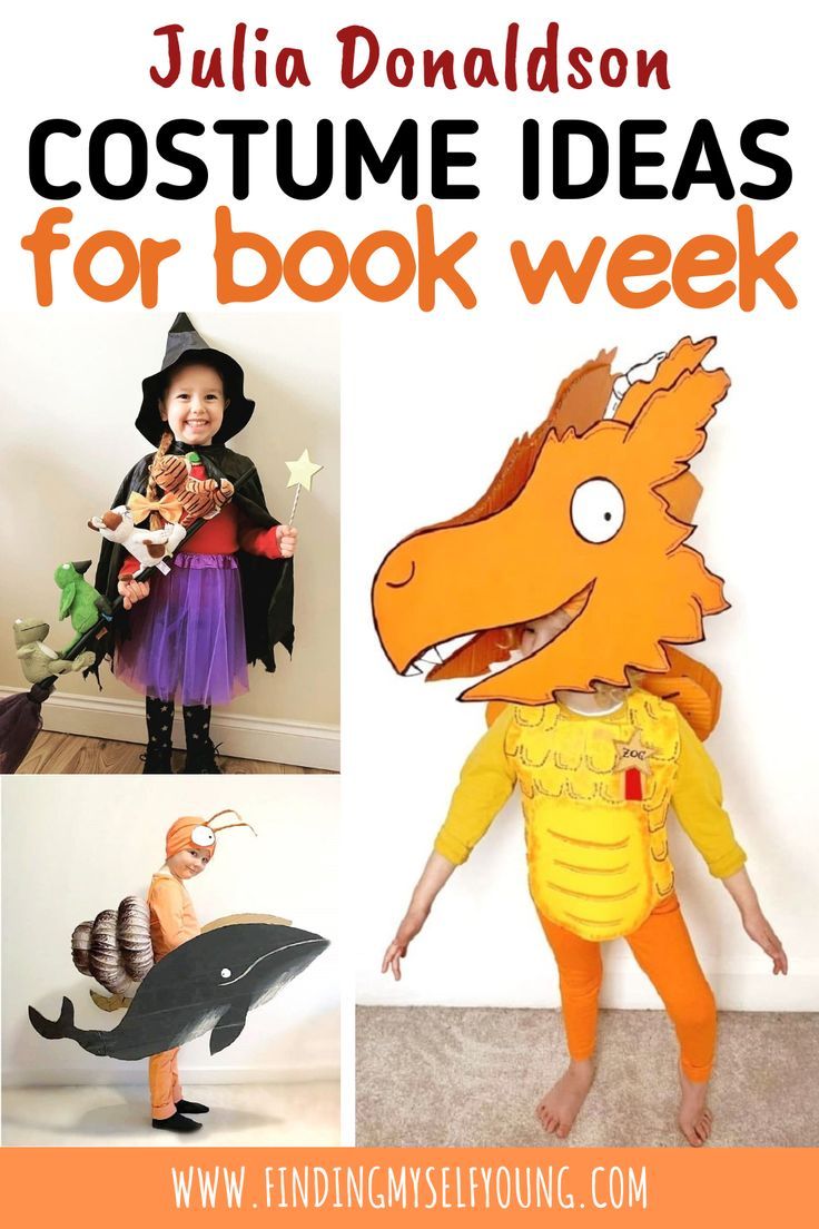 julia donaldson book week dress up ideas Easy Book Week Costumes, Book ...