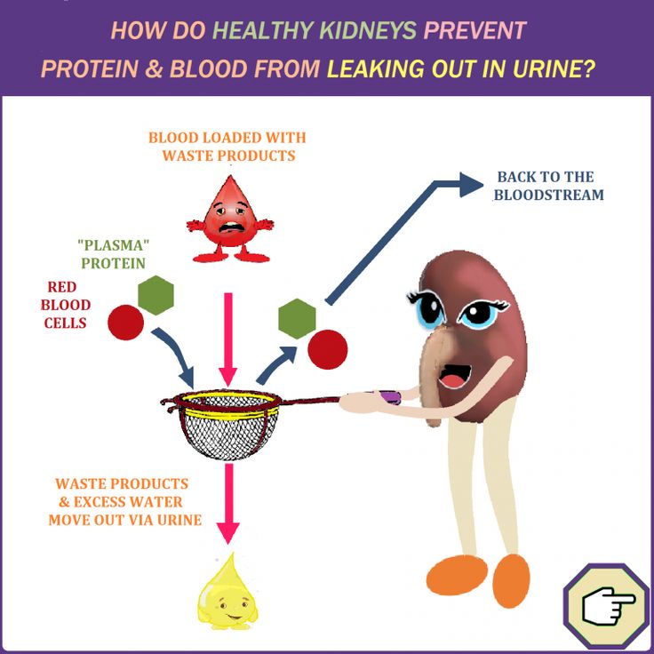 Diet For Protein In Urine - 27 Unconventional But Totally Awesome