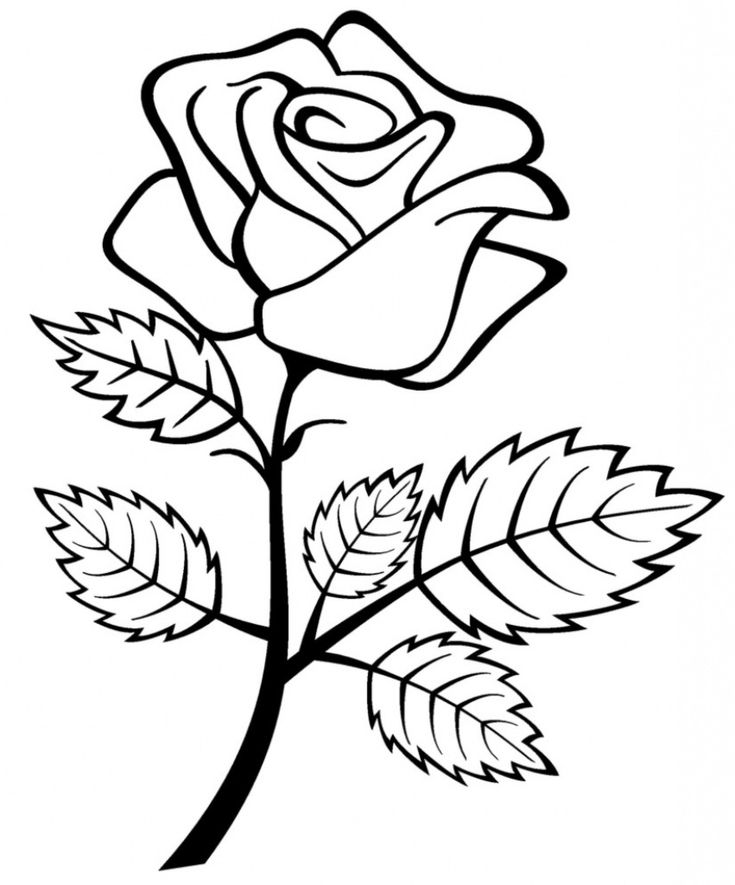 40+ How to Draw a Rose? Easy Rose Drawing Tutorials | HM ART Rose Flower Sketch, Flower Drawing For Kids, Rose Drawing Simple, Pink Clipart, Rose Outline, Rose Coloring Pages, Rose Stencil, Easy Flower Drawings, Flower Cartoon