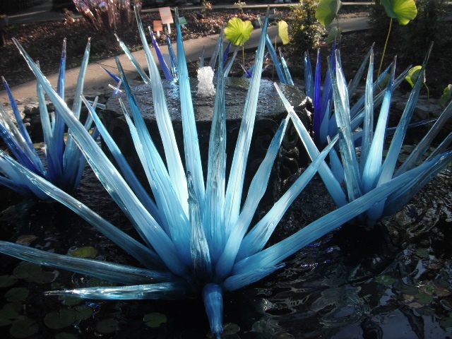 the blue flowers are growing out of the water in the pond, and it looks like they have been blown up