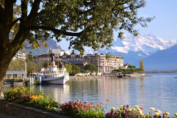 a boat is docked in the water next to some flowers and trees with mountains in the background