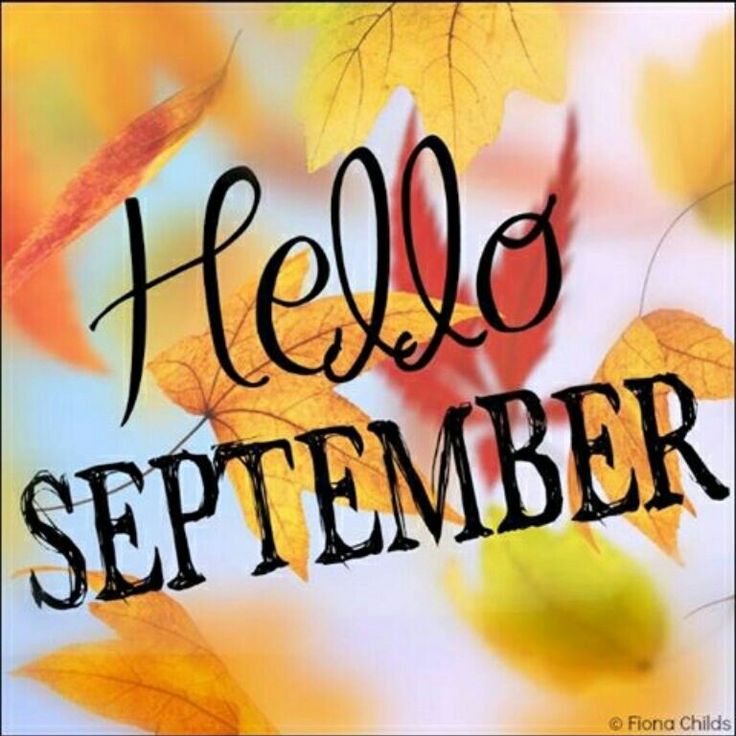 the words hello september written in black on a colorful background with autumn leaves and branches