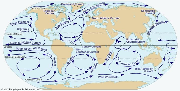 the world's ocean currents are shown in this map