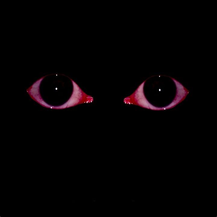 a cat's eyes are glowing in the dark, with blood on their irises