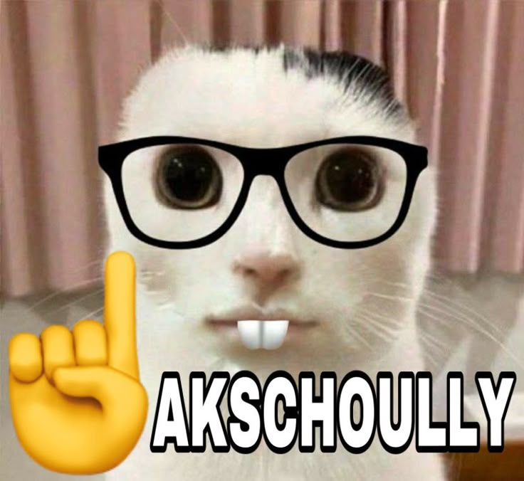 akschoully ☝️🤓 | nerd meme, raising finger emoji | Giudici image.