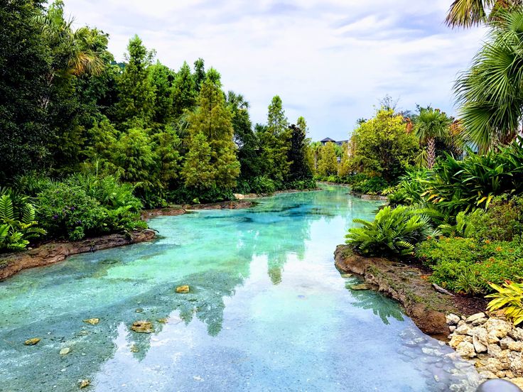 a river surrounded by lush green trees next to rocks and plants on either side of it