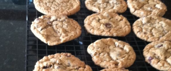 several cookies are cooling on a wire rack in the oven, ready to be eaten