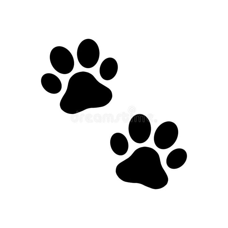 Animals Footprints, Paw Prints. Set of Different Animals and Predators ...