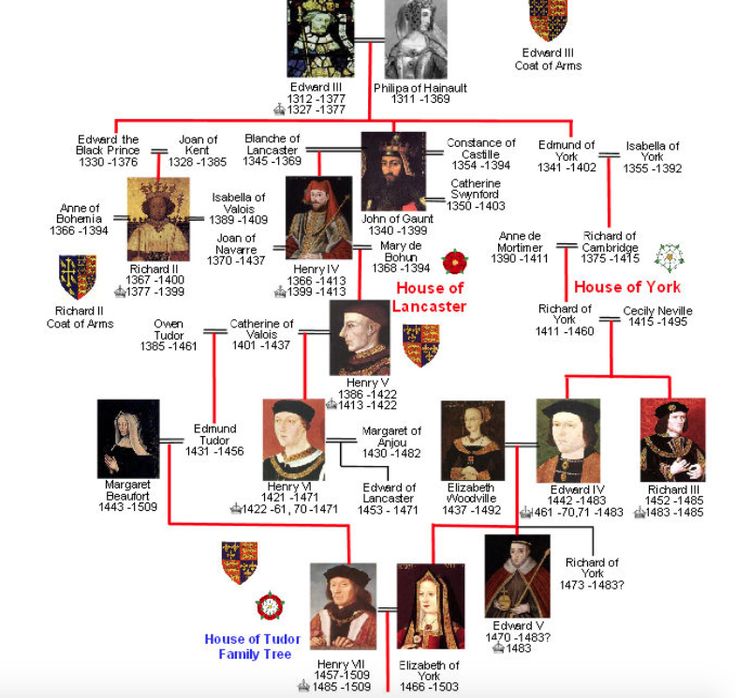 Wars of the Roses Family Tree | English royal family tree, Ancestry ...