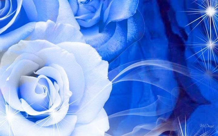 two white roses on a blue background with sparkles