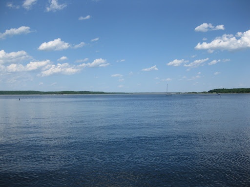 a body of water surrounded by trees and blue sky with white clouds in the background