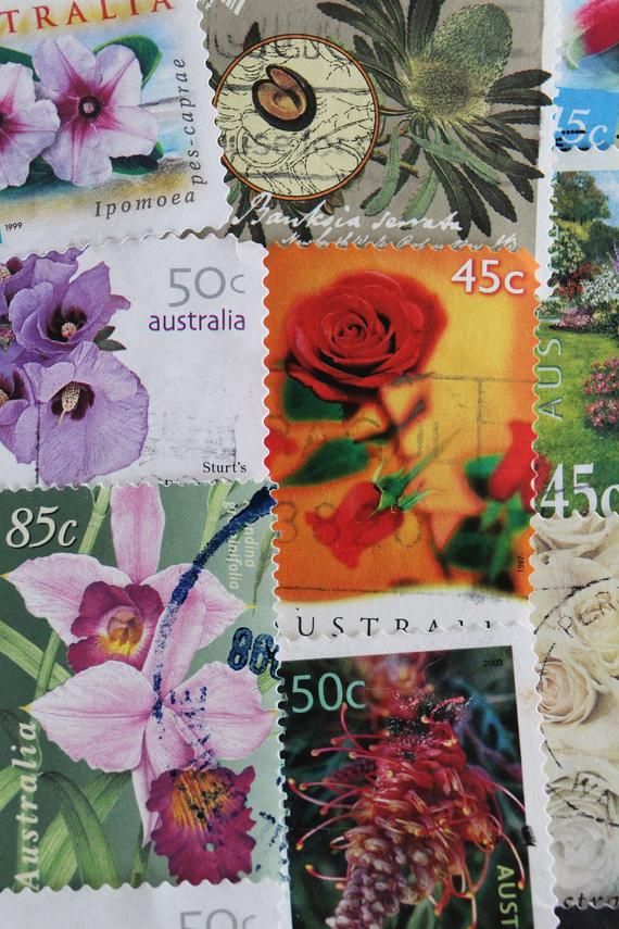 postage stamps with flowers on them are displayed in an image that appears to be from australia