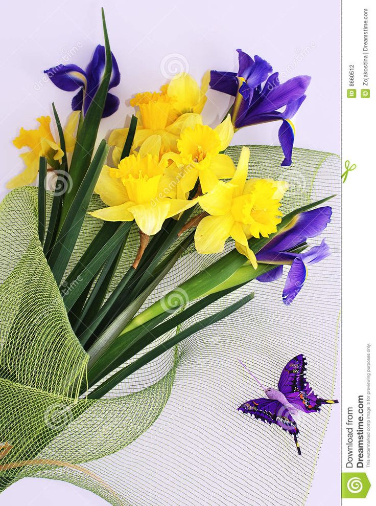 yellow and purple flowers on a white background with a green mesh bag next to it