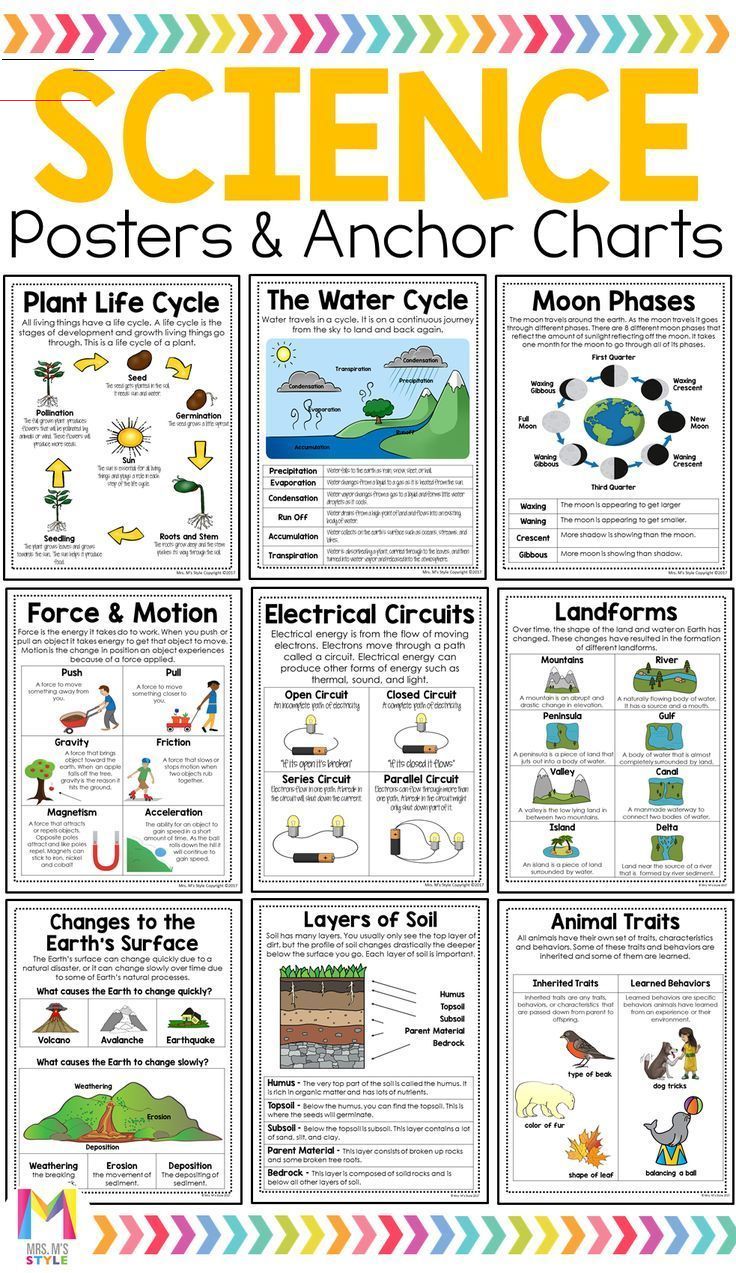 Science 3rd Grade Worksheets