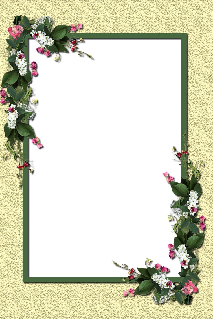 Decorative frame PNG