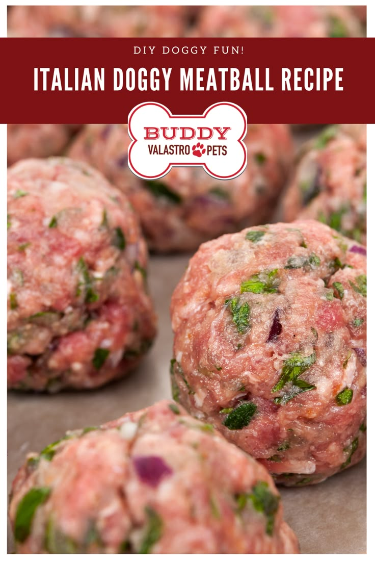 italian meatball recipe with text overlay that reads diy dogy meatball recipe