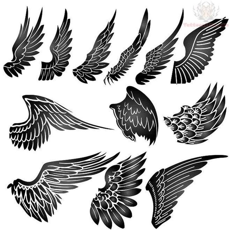 black and white wings on a white background stock photo, images and royalty photos wing tattoos, body art tattoos, sleeve tattoos, small tattoos for men, arm tattoos for guys, angel tattoo designs, person, bird design, stencut